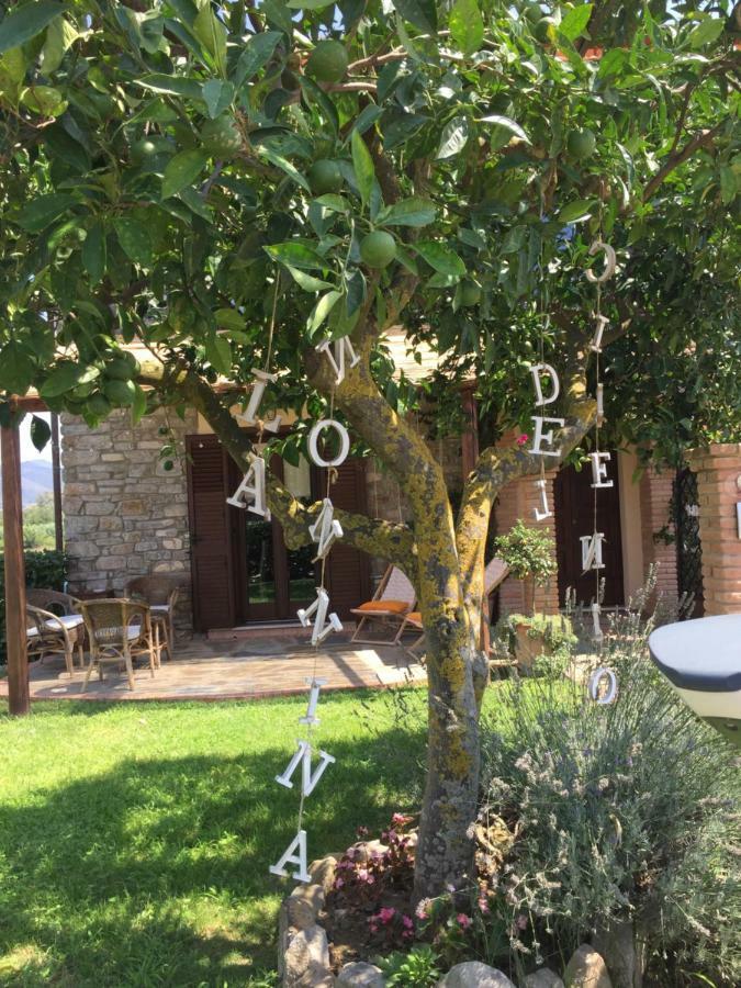 B&B La Nonnina Del Cilento Казаль-Велино Экстерьер фото